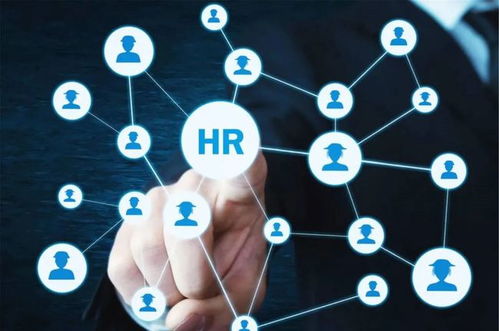 农业“新农人” 想做风口上的“智能猪”，技术开发能力不可少